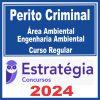 perito-amb-eng-amb