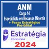 anm-cargo-14