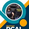 pc-al-delegado