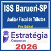 iss-barueri-auditor